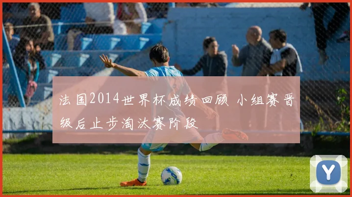 法国2014世界杯成绩回顾 小组赛晋级后止步淘汰赛阶段