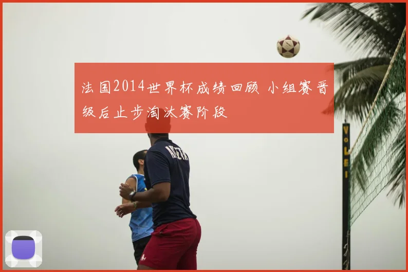 法国2014世界杯成绩回顾 小组赛晋级后止步淘汰赛阶段