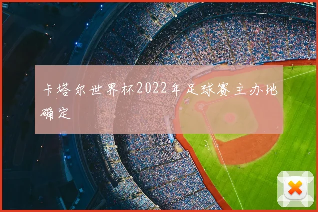 卡塔尔世界杯2022年足球赛主办地确定