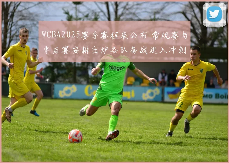WCBA2025赛季赛程表公布 常规赛与季后赛安排出炉各队备战进入冲刺期