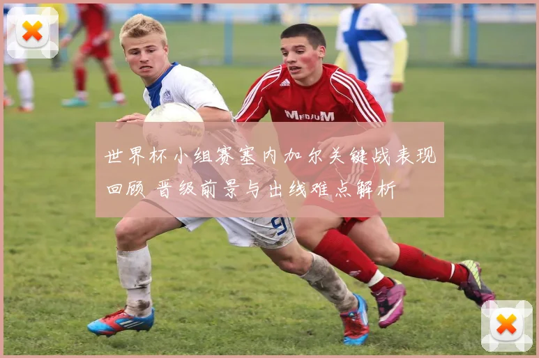 世界杯小组赛塞内加尔关键战表现回顾 晋级前景与出线难点解析