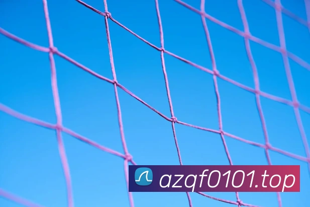 数据防护可视化